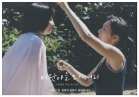 日本映画「海街diary」が12月に韓国公開へ